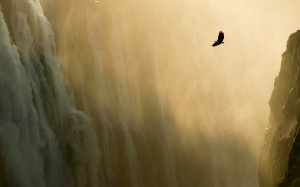 Eagle & Waterfall (Source: Pexel)